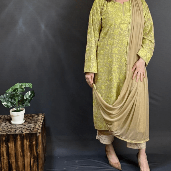 Dull Green Ready Kurta Kashmiri Jaal - Image 3